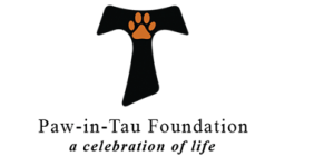 Palindroma and Paw in Tau Foundation